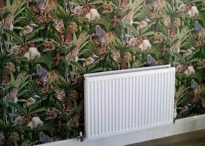 Expressions - Home Painting And Decorating
